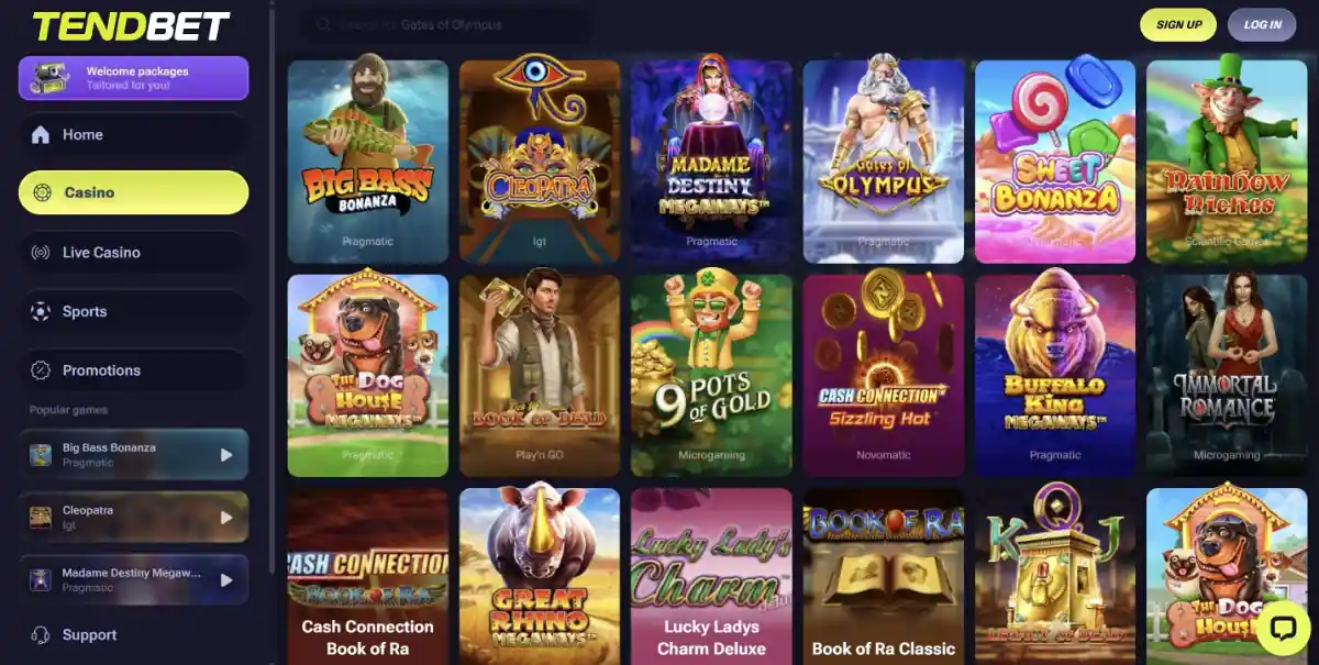 Teno Bets casino interface overview
